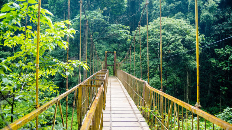Offbeat Bangalore: 10 Unique Things to Do Beyond the Usual Sites Offbeat Bangalore